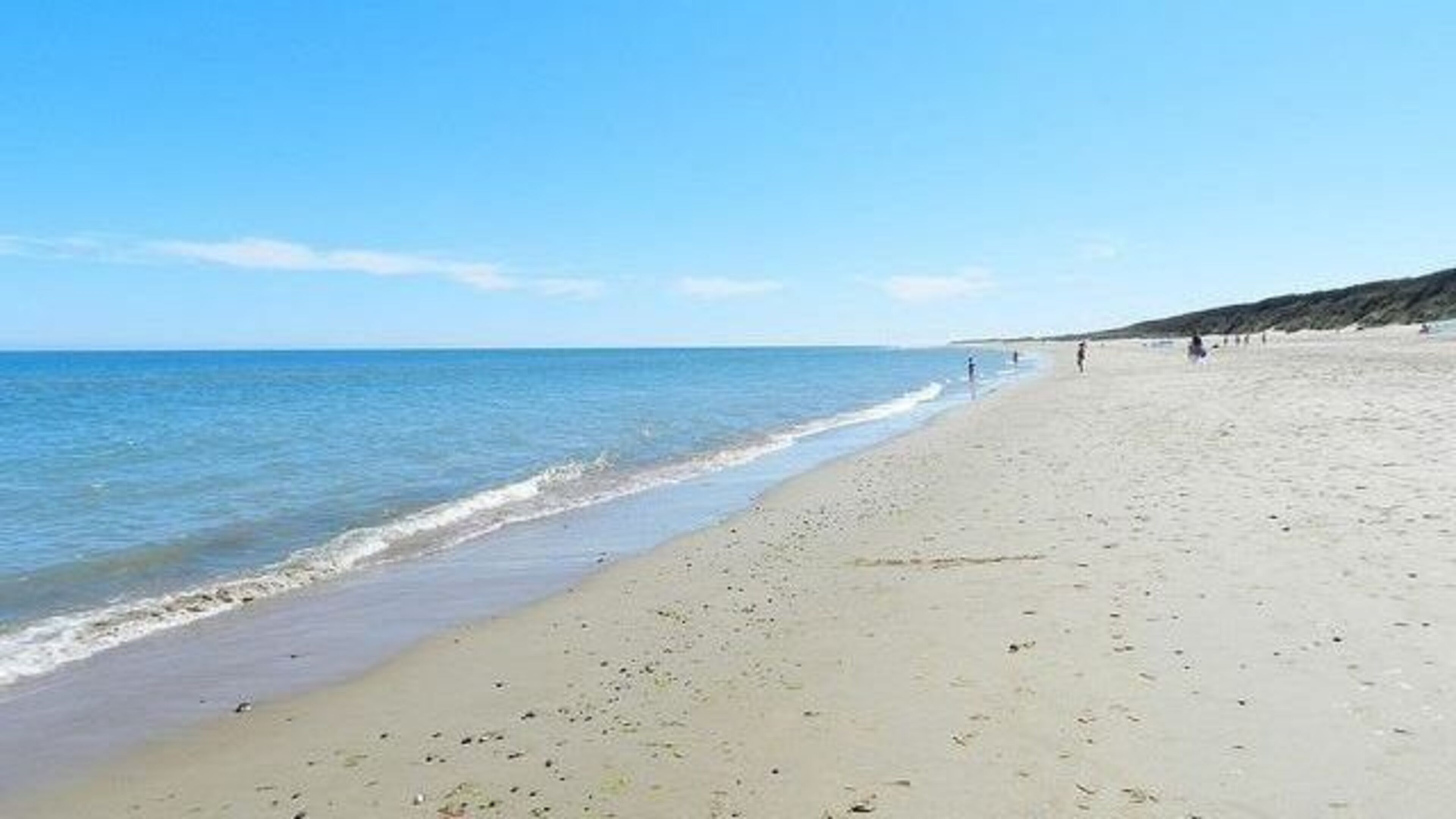 Wexford council to reduce beach wardens this summer despite reports of illegal camping in ‘delicate’ dunes